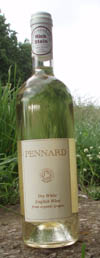 This wine, made from the Seyval grape makes an exquisitely fresh and fruity wine that is distinctively English. The perfect complement to any savoury dish.